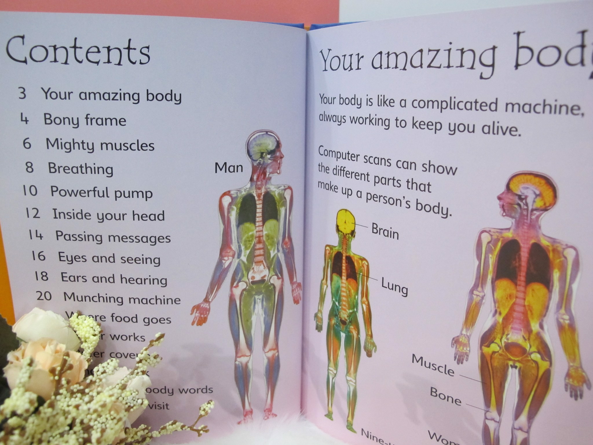 Usborne Beginners: Your Body (Hardback)