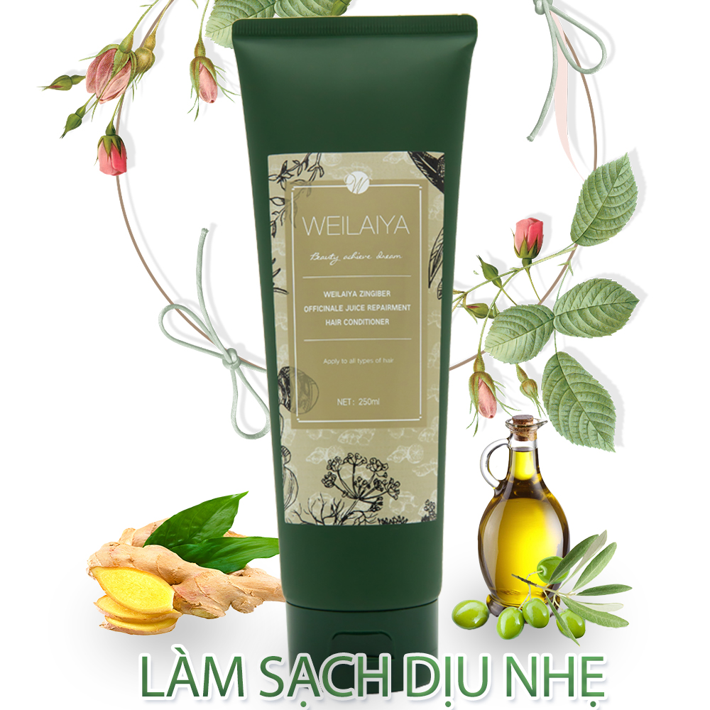 Dầu Xả Weilaiya Tinh Chất Gừng Kết Hợp Hà Thủ Ô Organic Cao Cấp hỗ trợ điều trị Rụng Tóc, Kích Thích Mọc Tóc Giảm Tóc Gãy Rụng, Dành Cho Loại Tóc Hư Tổn Xơ Gãy (200ml) - Sản phẩm chính hãng