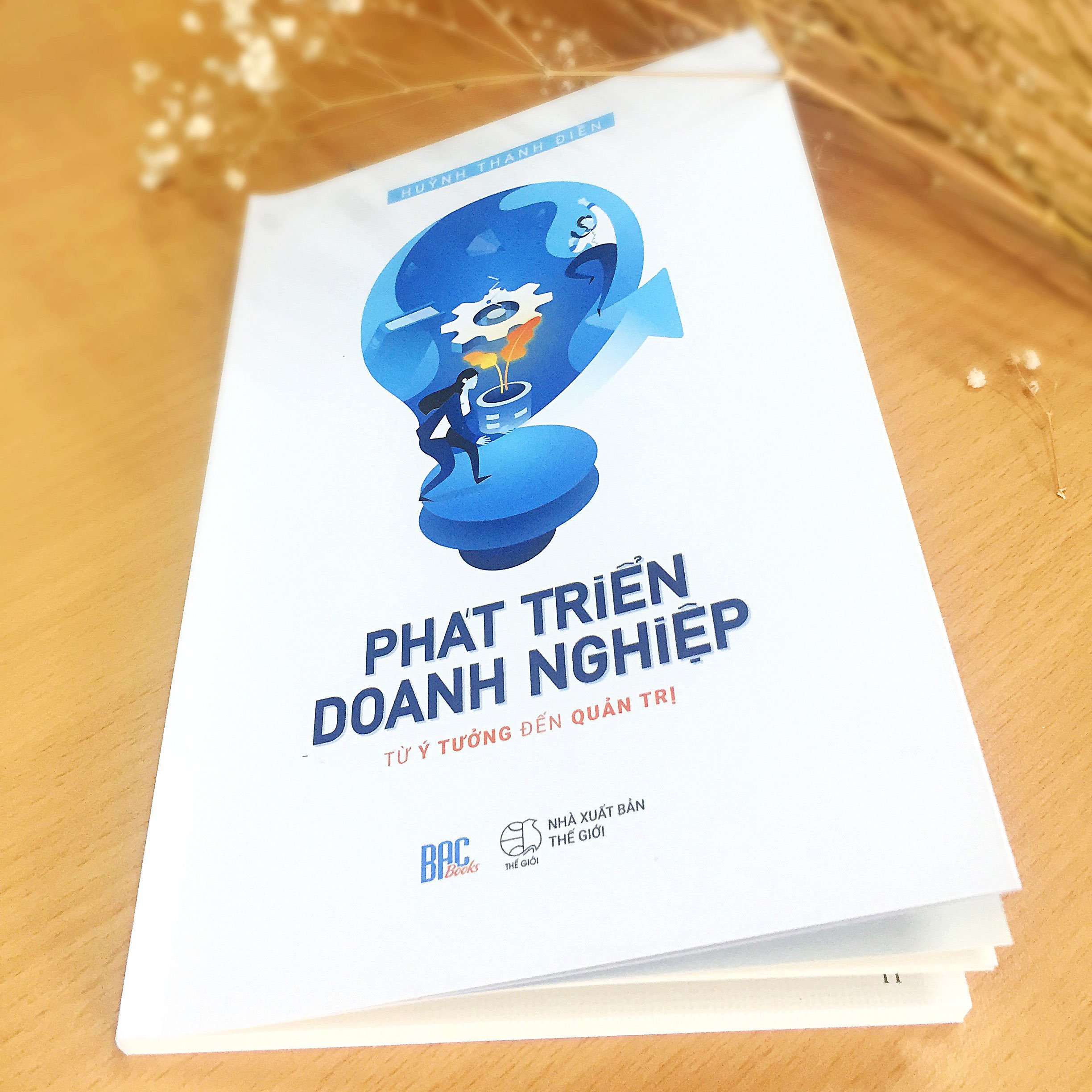 Phát triển Doanh Nghiệp Từ Ý Tưởng Đến Quản Trị