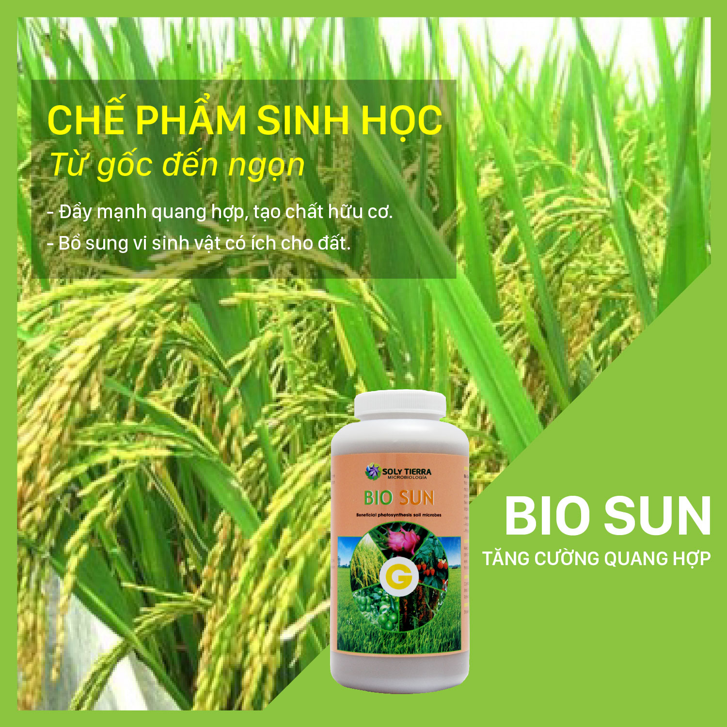 Vi sinh tăng cường, bổ sung quang hợp cho cây Bio Sun NSX Soly Tierra  - Chai 1 quarter (≈ 1 lít)