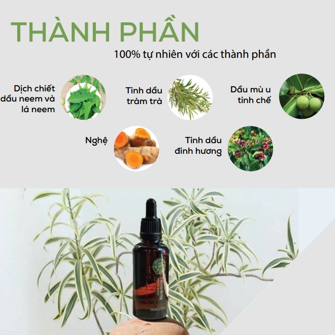 Tràm trà hỗn hợp ngăn ngừa vảy nến 2