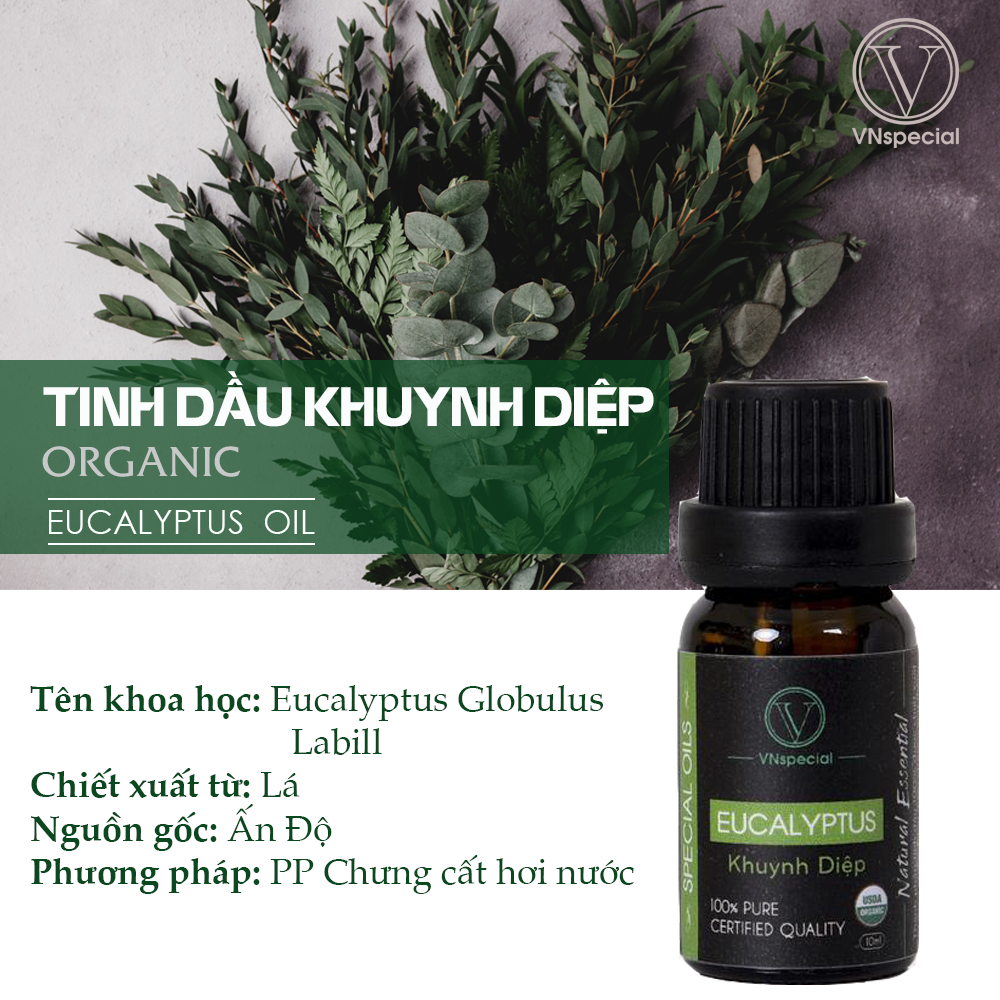 Tinh Dầu Khuynh Diệp Hữu Cơ | Organic Eucalyptus Oil | Tinh dầu Nhập Khẩu USDA- Vnspecial Oils (10ml)