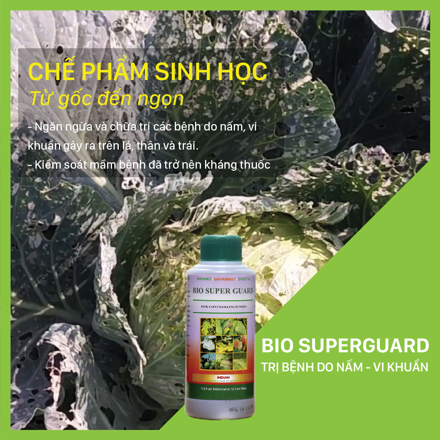 BIO SUPER GUARD - Chai 350ml Phòng trừ bệnh nấm, thán thư, phấn trắng, sương mai