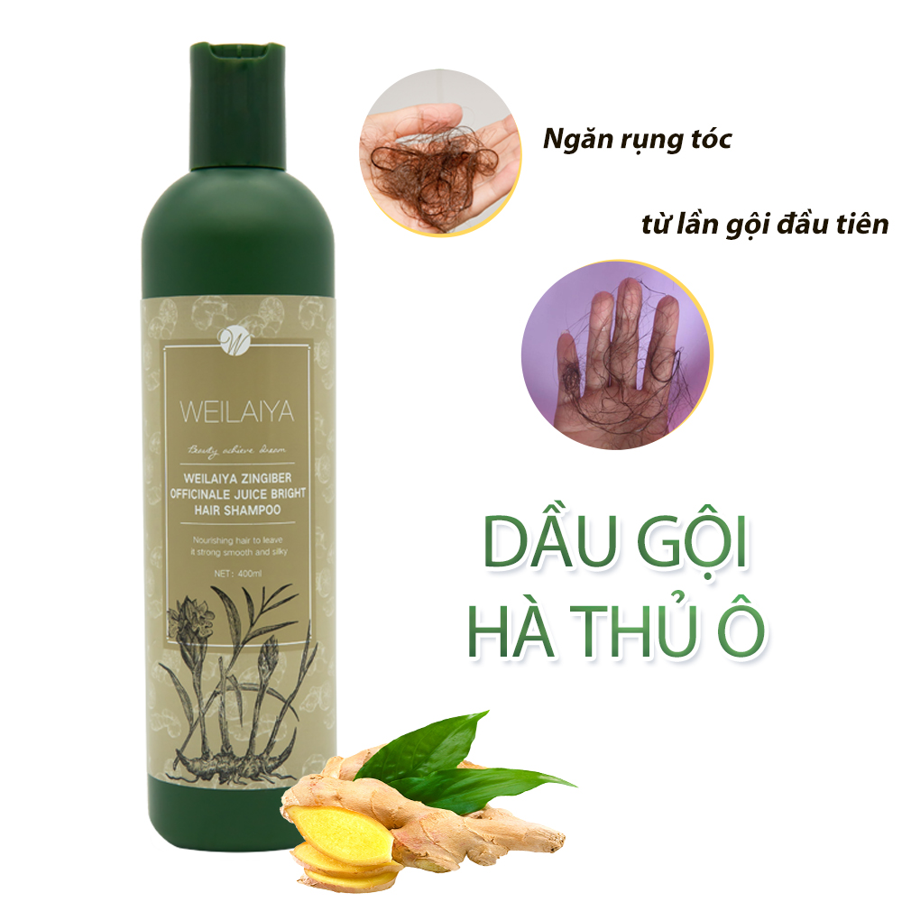 Dầu gội mọc tóc hỗ trợ trị rụng tóc dành cho tóc rụng, tóc khô xơ và hư tổn Weilaiya chiết xuất từ tinh chất gừng tươi Hà Thủ Ô 100% thiên nhiên không chất sunfat tạo bọt - Hàng chính hãng