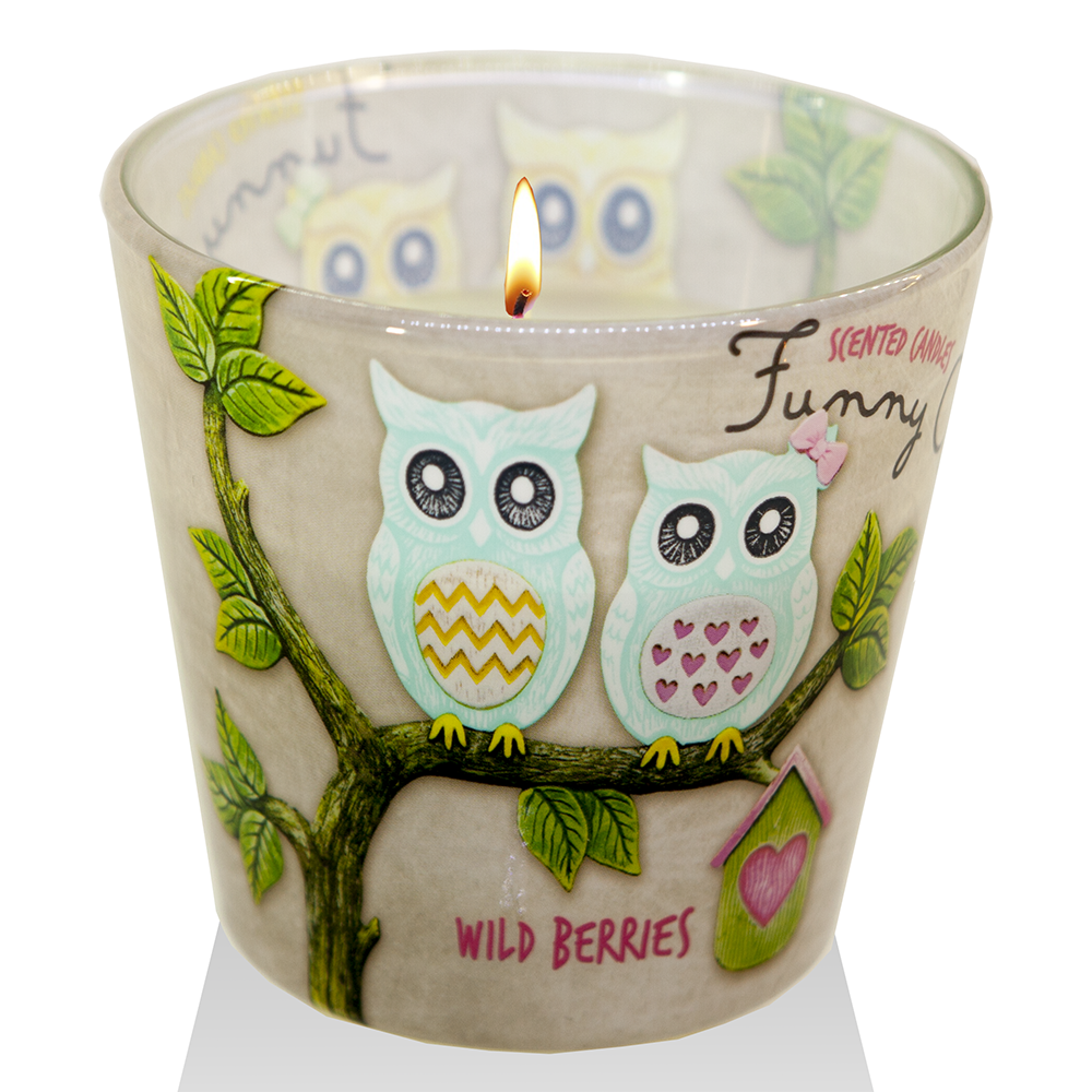 Ly nến thơm tinh dầu Bartek Funny Owls 115g QT00668 - hương quả ngọt (giao mẫu ngẫu nhiên)