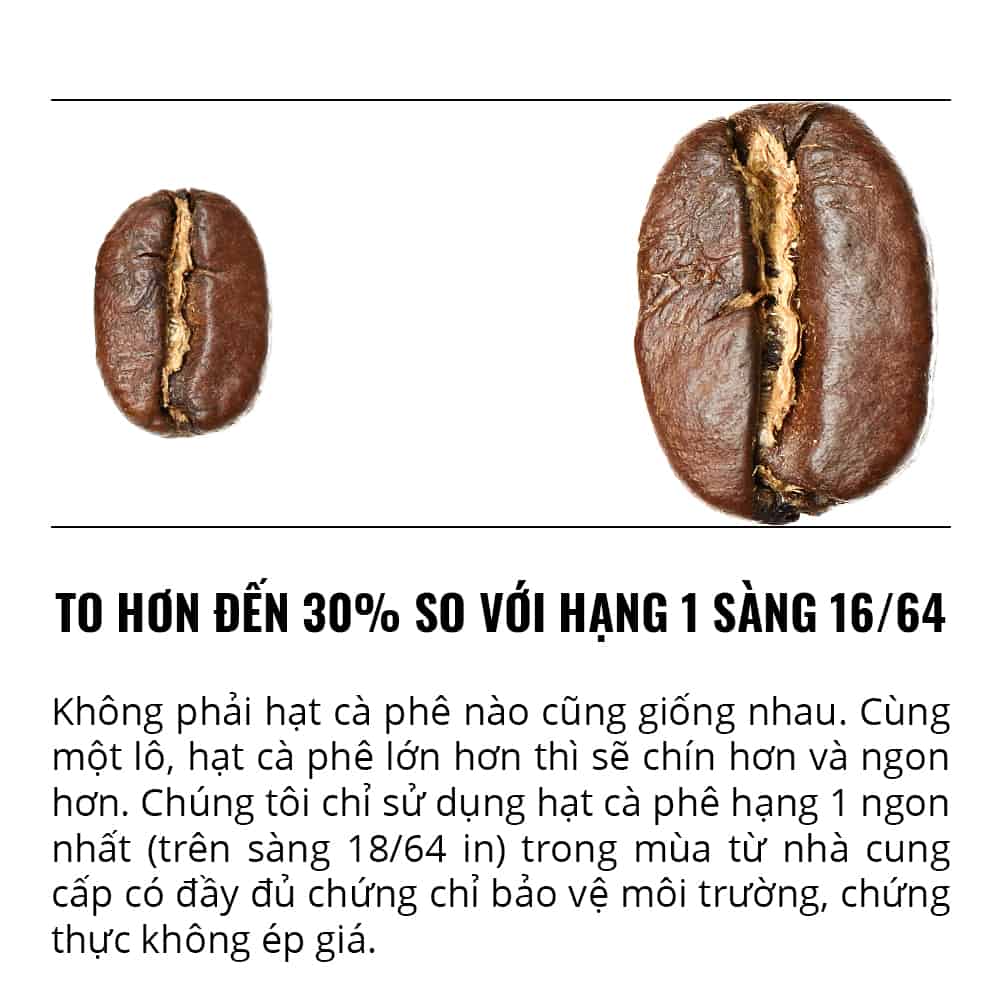 03 Bao Cà Phê Bột Rang Xay Hạng 1 sàng 18/64 in Tổng Trọng Lượng 660g THUNDER No.1 - 1864 CAFÉ