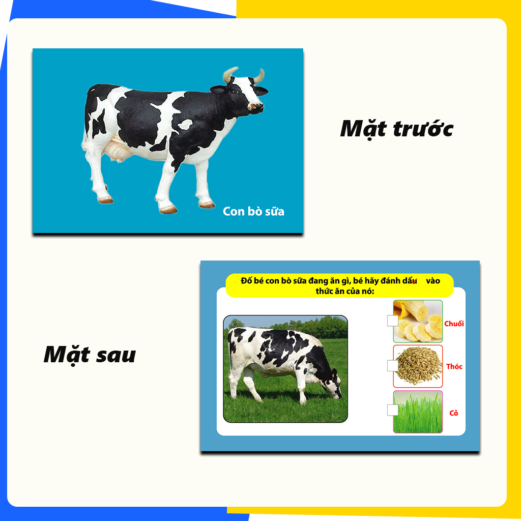 Thẻ Flash Card Thông Minh Bé Nhận Biết Thế Giới Động Vật -  Kích thước 11 x 16 cm, In 2 Mặt Dành Cho Bé Từ 3 - 6 Tuổi (30 Thẻ)