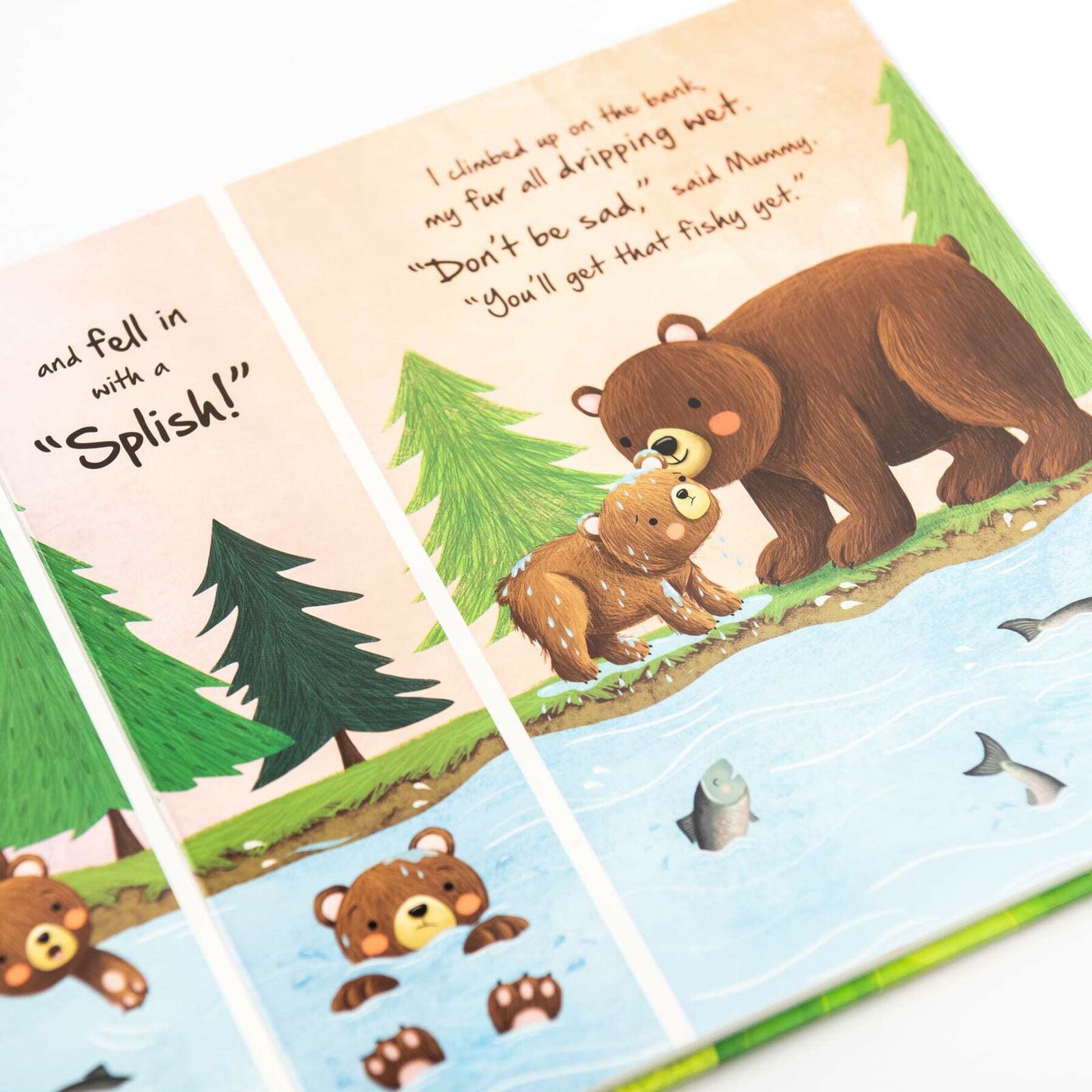 Little Bear (Discover an Amazing Story From The Natural World)