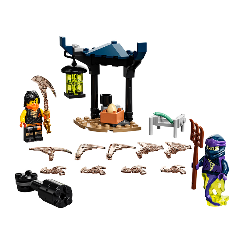 Đồ chơi LEGO Đấu Trường Ninjago- Cole Đối Đầu Ghost Warrior 71733