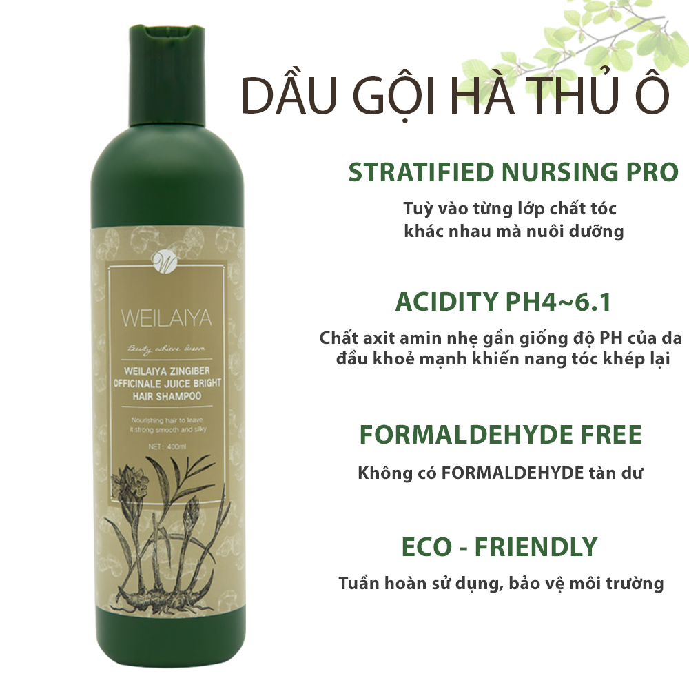 Dầu gội mọc tóc hỗ trợ trị rụng tóc dành cho tóc rụng, tóc khô xơ và hư tổn Weilaiya chiết xuất từ tinh chất gừng tươi Hà Thủ Ô 100% thiên nhiên không chất sunfat tạo bọt - Hàng chính hãng