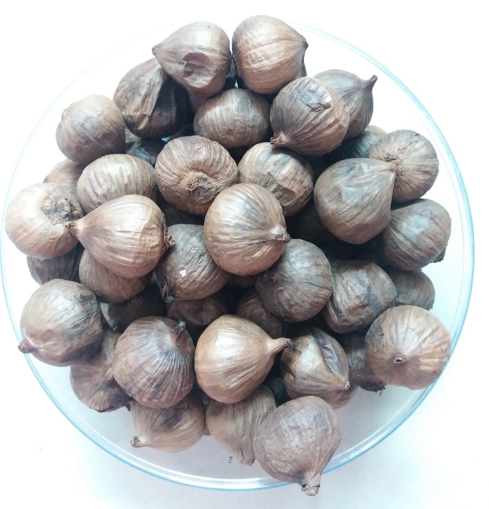 Tỏi đen một nhánh
