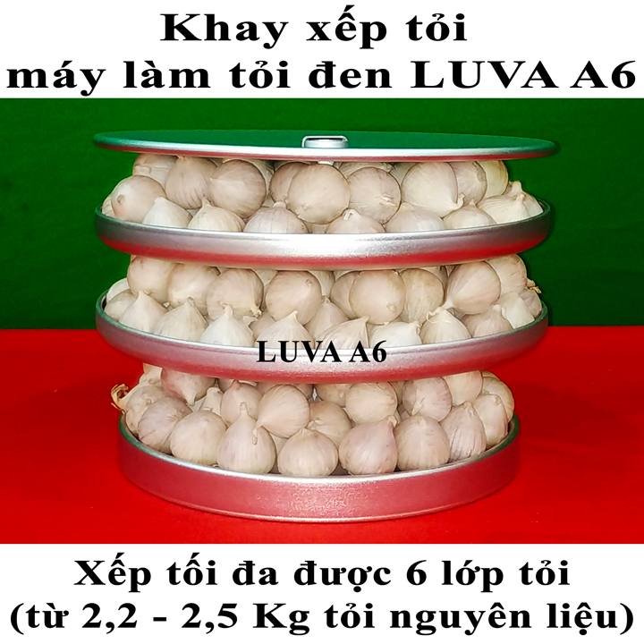 Máy làm tỏi đen Luva A6(6L)