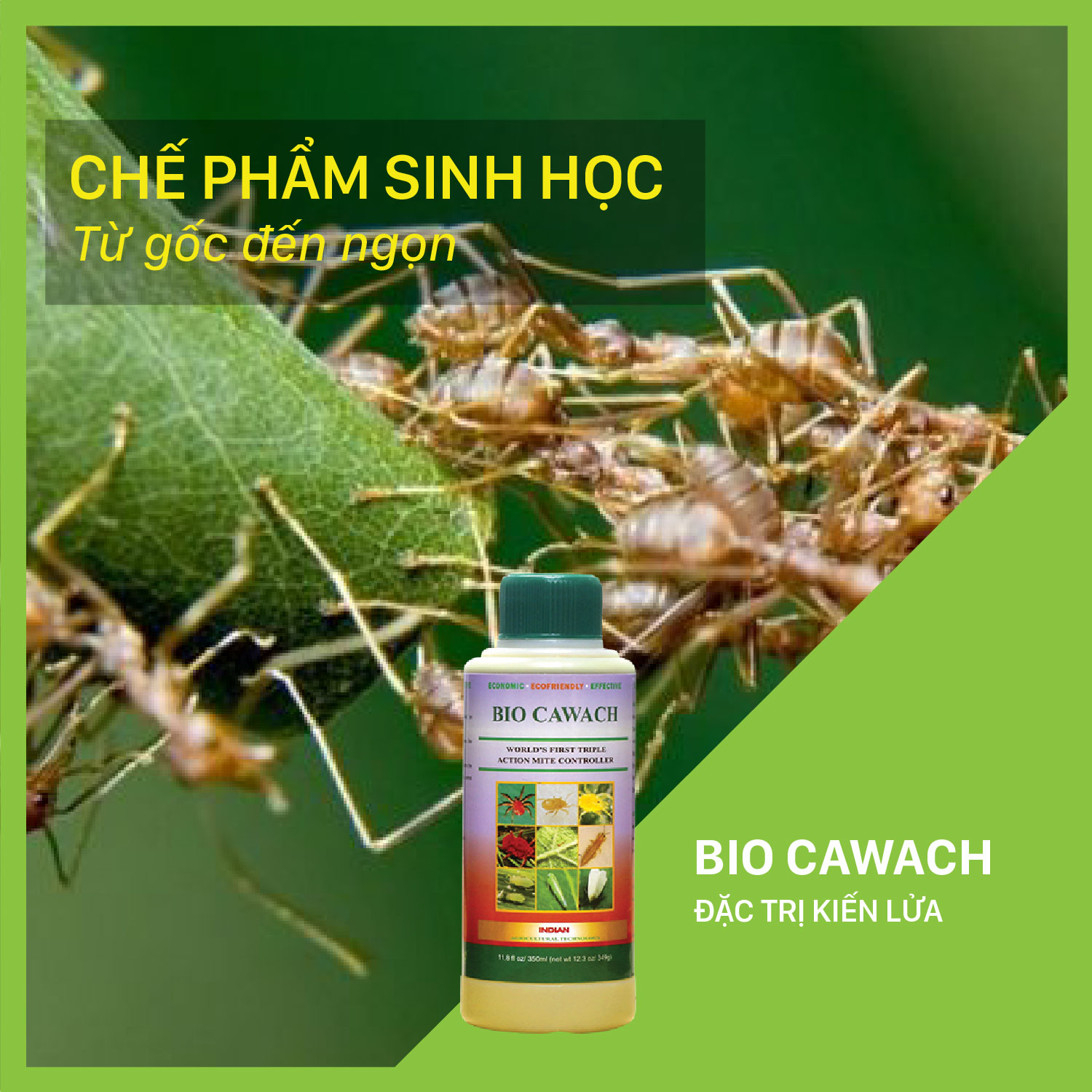 Bio Cawach - Chai 350 ml đặc trị kiến lửa tấn công cây trồng