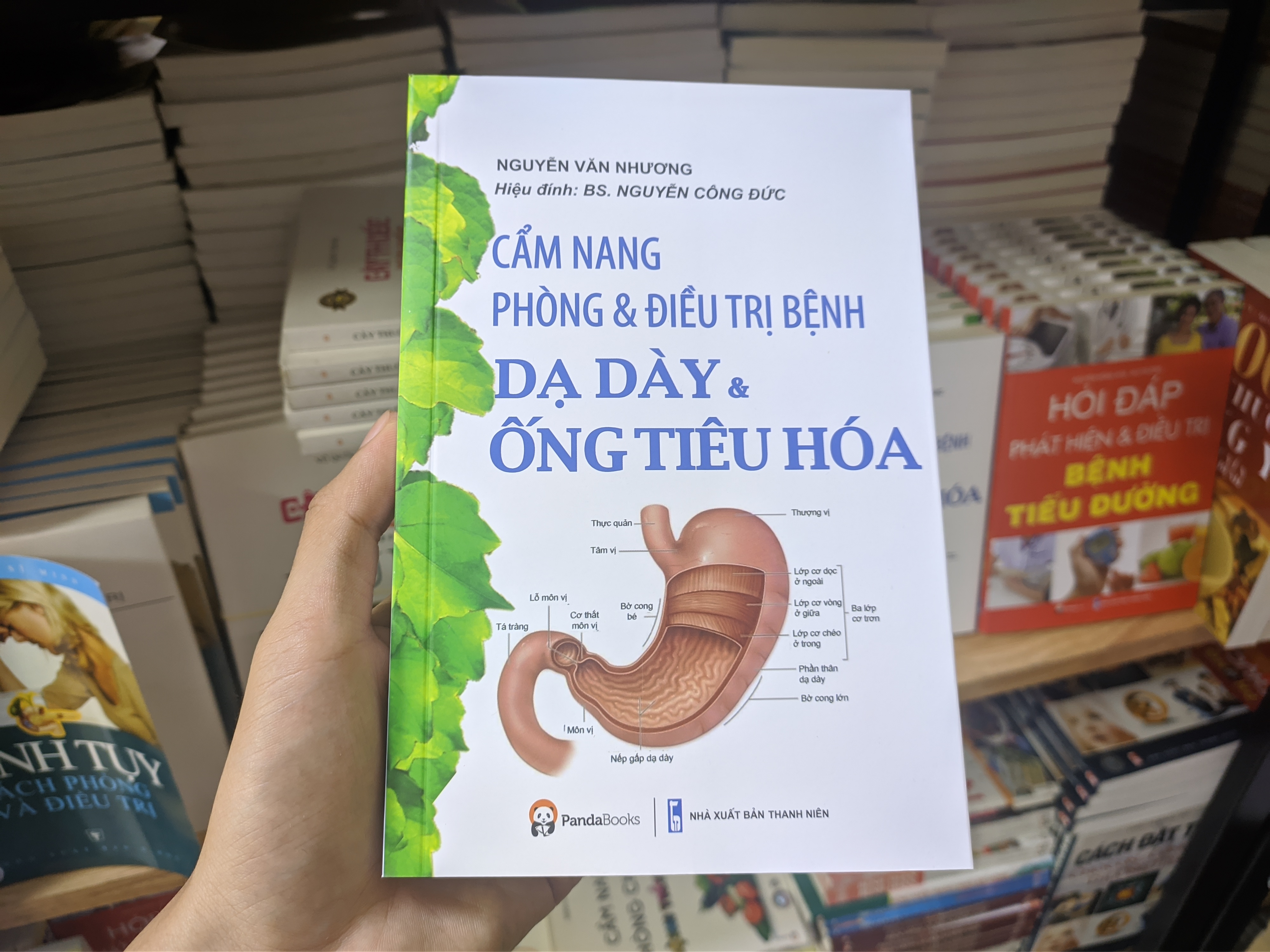 SÁCH Y HỌC - CẨM NANG PHÒNG &amp; ĐIỀU TRỊ BỆNH DẠ DÀY &amp; ỐNG TIÊU HÓA