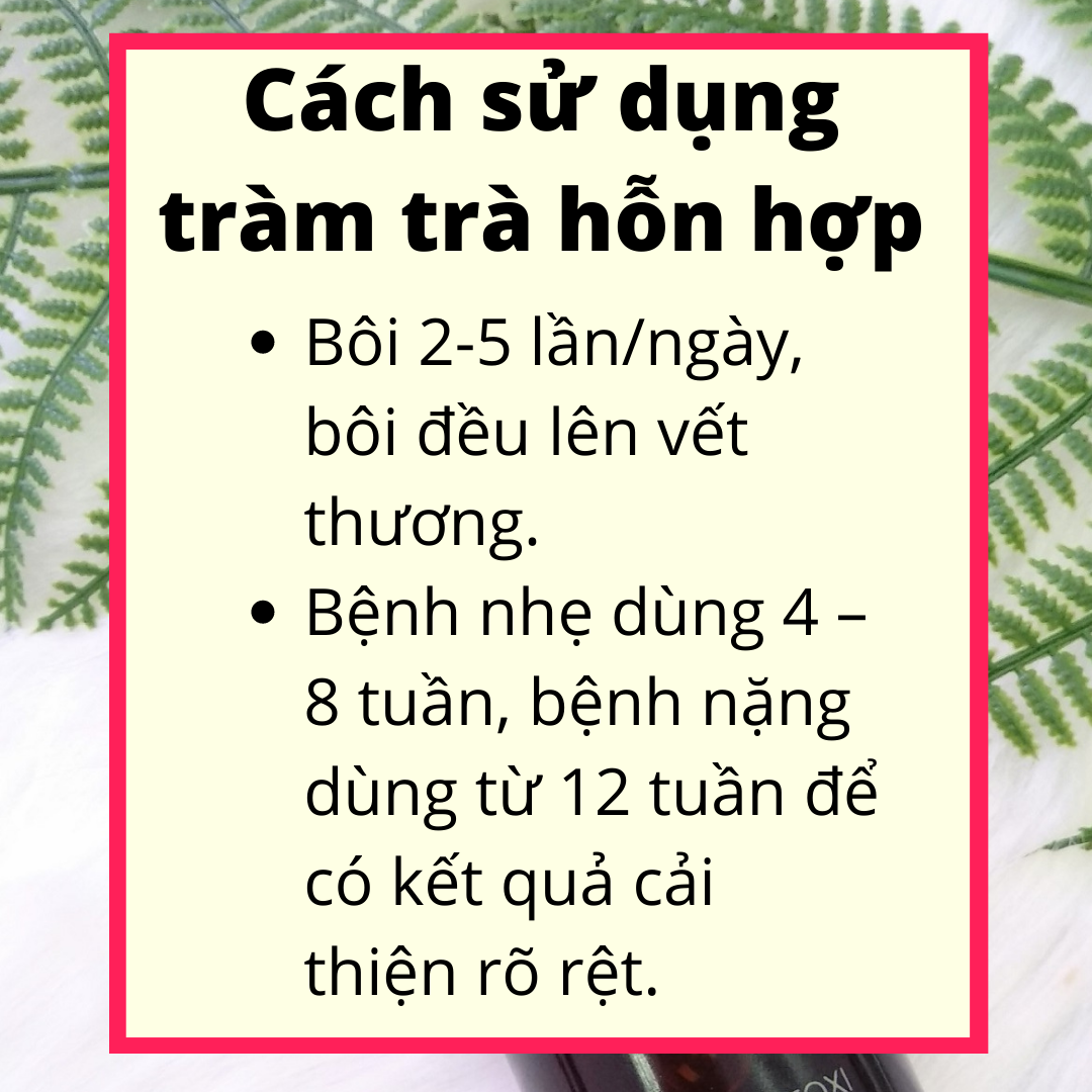 Tràm trà hỗn hợp ngăn ngừa vảy nến 2