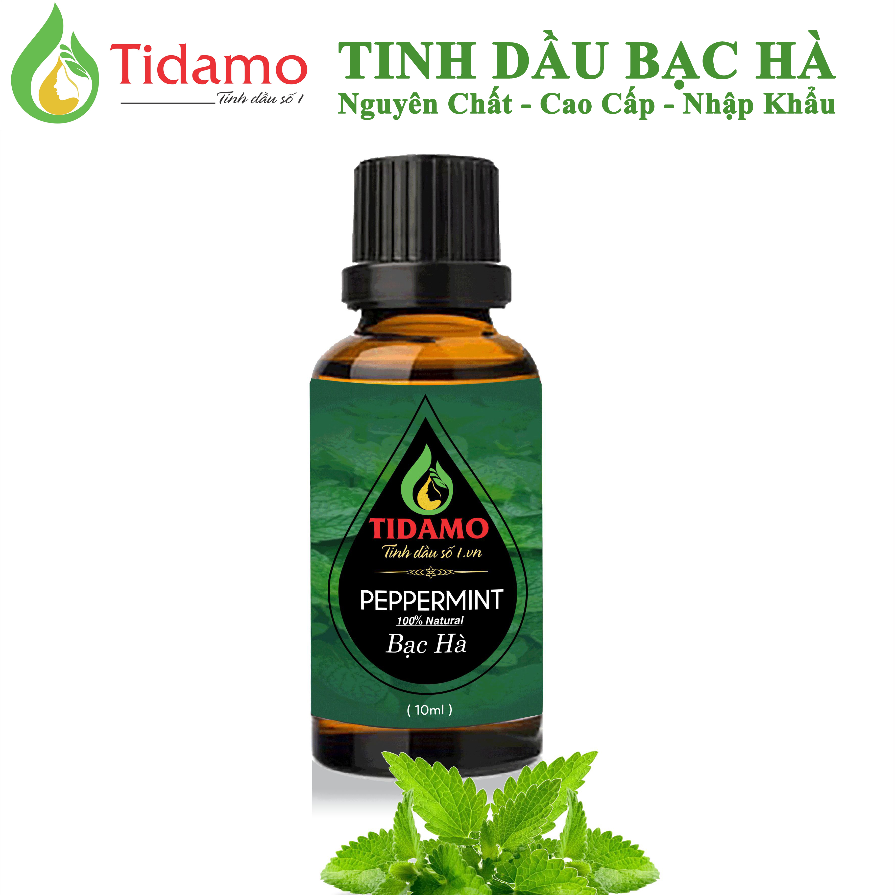 Combo 3 Tinh Dầu Sả Chanh + Tinh Dầu Bạc Hà + Tinh Dầu Oải Hương (Lavender) - Tinh Dầu Xông Phòng Nguyên Chất Giúp Thư Giãn, Đuổi Muỗi Và Thơm Phòng (3 chai 10ML)