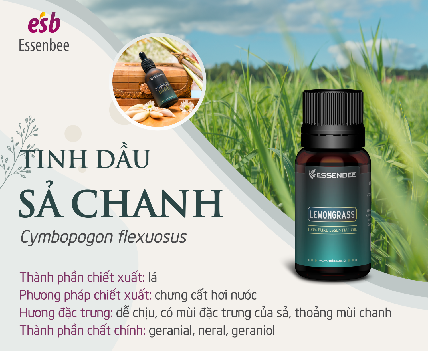 Tinh dầu thiên nhiên Sả Chanh - Essenbee - 30ml - Giúp thư giãn tinh thần, giảm stress, xua đuổi côn trùng và muỗi, an toàn cho trẻ em