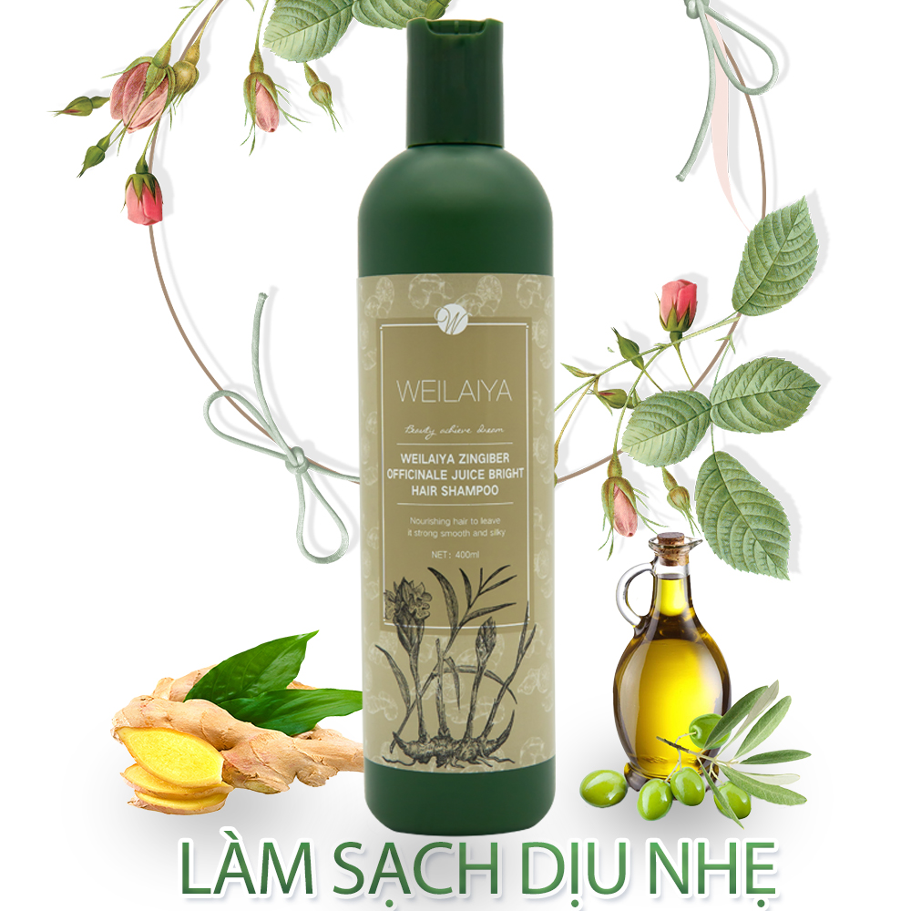 Dầu gội mọc tóc hỗ trợ trị rụng tóc dành cho tóc rụng, tóc khô xơ và hư tổn Weilaiya chiết xuất từ tinh chất gừng tươi Hà Thủ Ô 100% thiên nhiên không chất sunfat tạo bọt - Hàng chính hãng