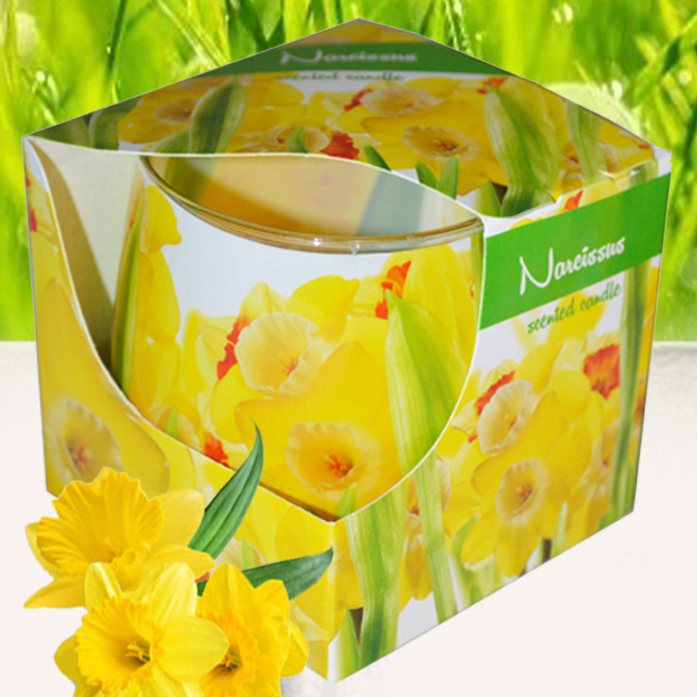 Ly nến thơm tinh dầu Admit Narcissus 100g QT025838 - thủy tiên vàng