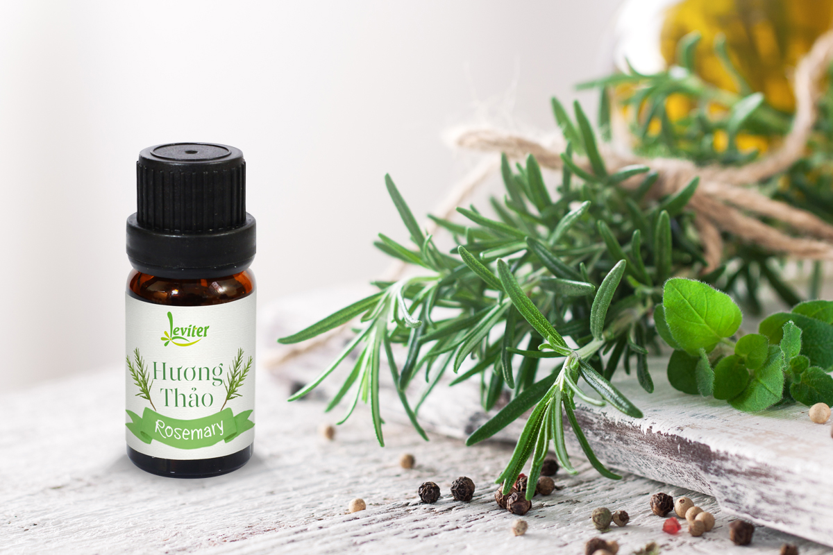 Combo 3 Chai Tinh Dầu Leviter Chăm Sóc Tóc 10ml Trà xanh 10ml - Bạc hà 10ml - Hương thảo 10ml