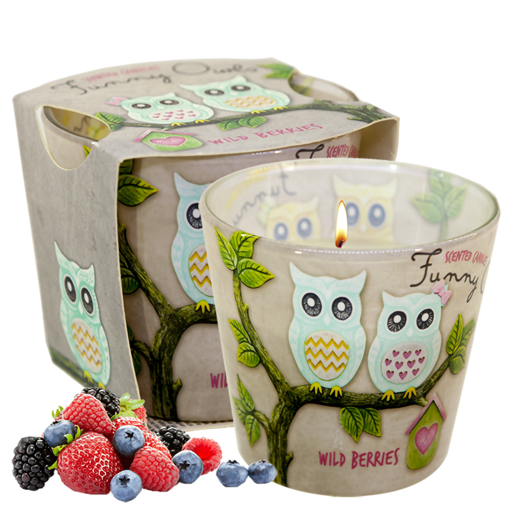 Ly nến thơm tinh dầu Bartek Funny Owls 115g QT00668 - hương quả ngọt (giao mẫu ngẫu nhiên)