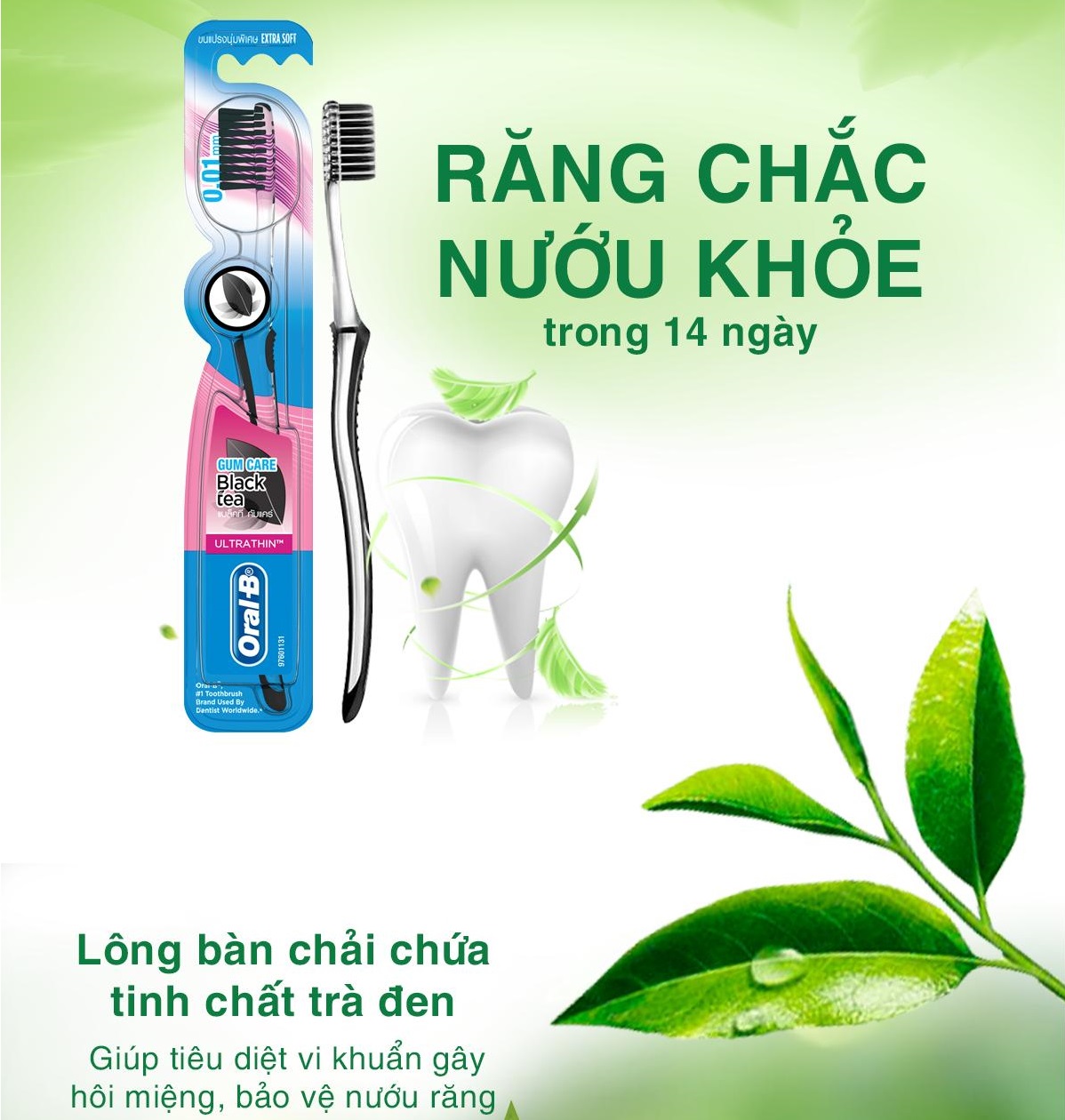 Bàn Chải ORAL-B Tinh Chất Trà Đen Vỉ 3 cái (Mua 2 tặng 1)