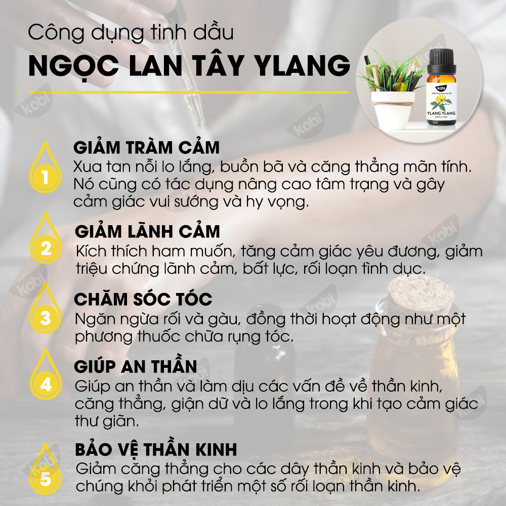 Tinh Dầu Ngọc Lan Tây Ylang Kobi Giúp Thư Giãn, Tạo Hứng Khởi (100ml)