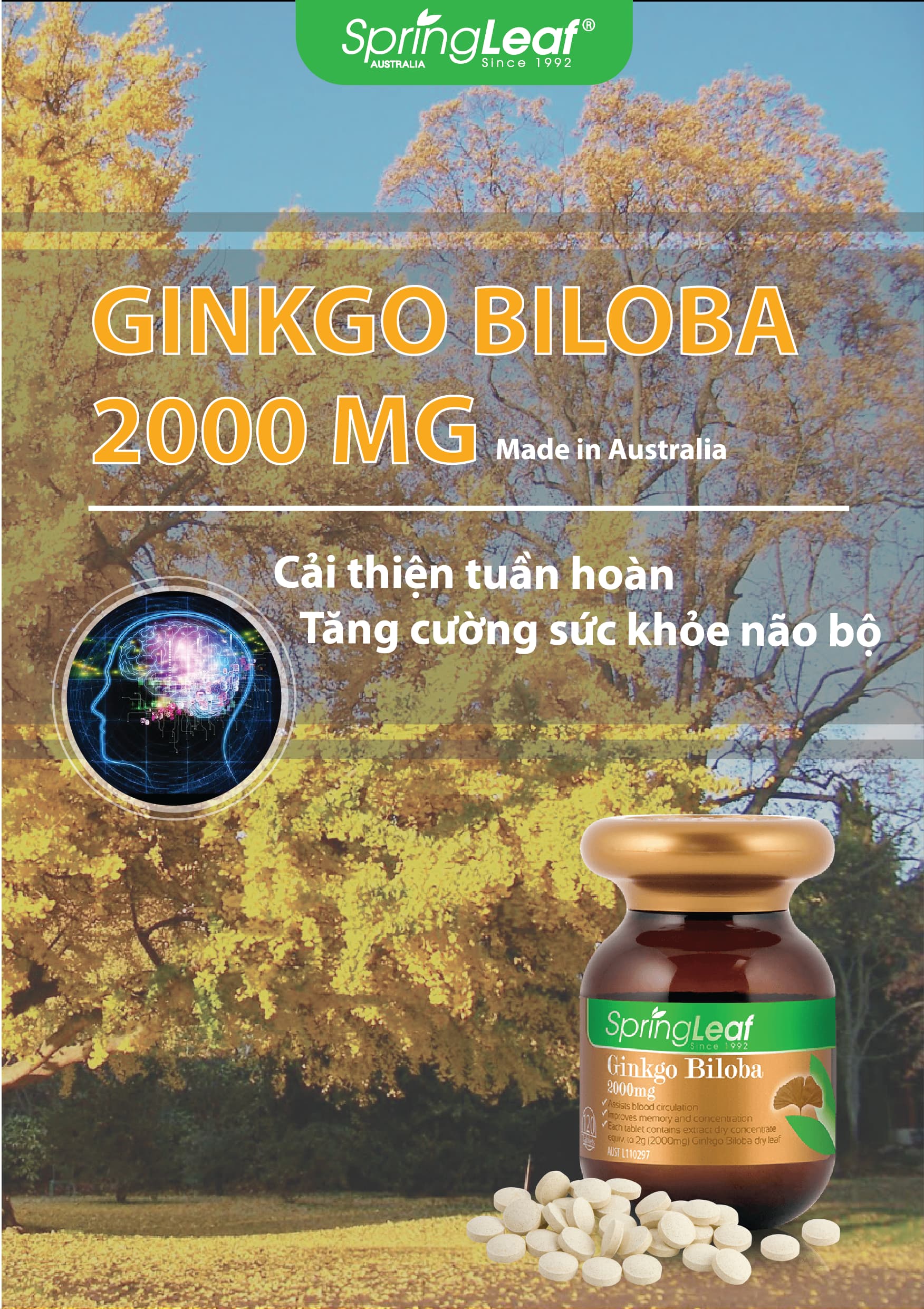 Spring Leaf Ginkgo Biloba 2000mg – Cải Thiện Tuần Hoàn – Tăng Cường Sức Khoẻ Não Bộ