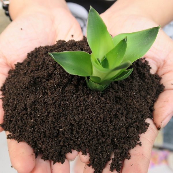 PHÂN TRÙN QUẾ: Nguyên chất 100%, bổ sung men vi sinh - Là loại phân bón hữu cơ tốt nhất con người biết đến: Phù hợp trồng rau, hoa, cây cảnh - An toàn cho người sử dụng cây trồng và môi trường