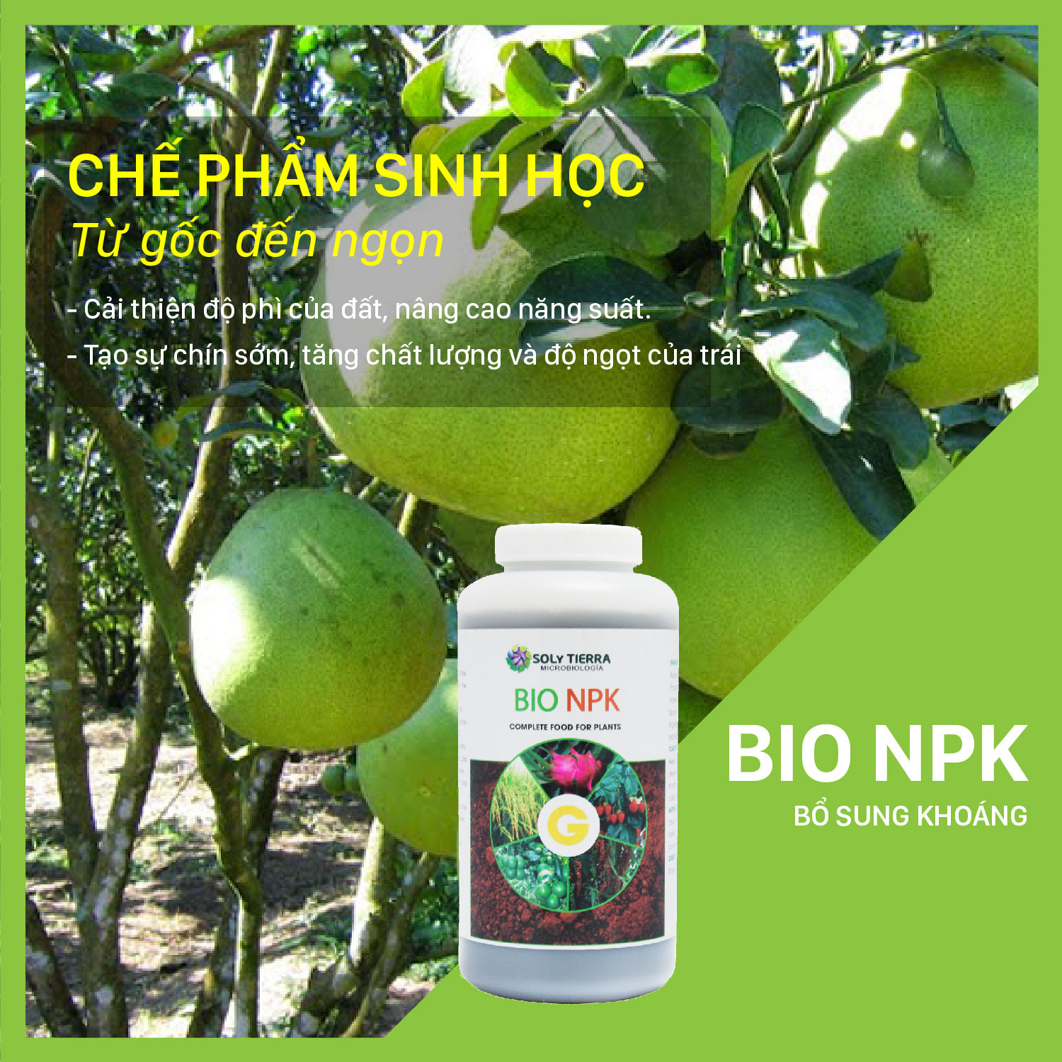 Bio NPK giúp cây hấp thụ tốt NPK, tăng độ ngọt trái chai 1 lít