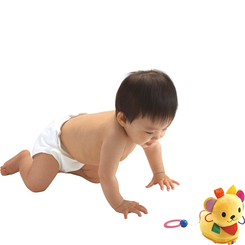 Đồ chơi cho bé sơ sinh 8 tháng tuổi | Kích thích bé tập bò từ PEOPLE Nhật Bản BB125