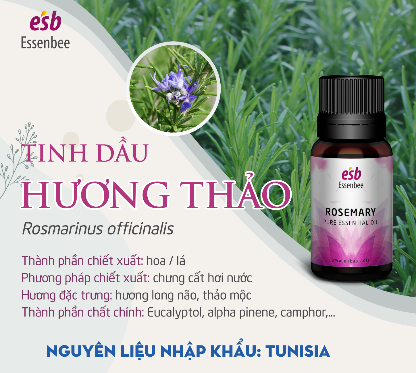 Tinh dầu Hương Thảo (Rosemary) – Essenbee – 20ml - 100% nguyên chất, hỗ trợ thư giãn tinh thần hiệu quả và xua đuổi muỗi an toàn