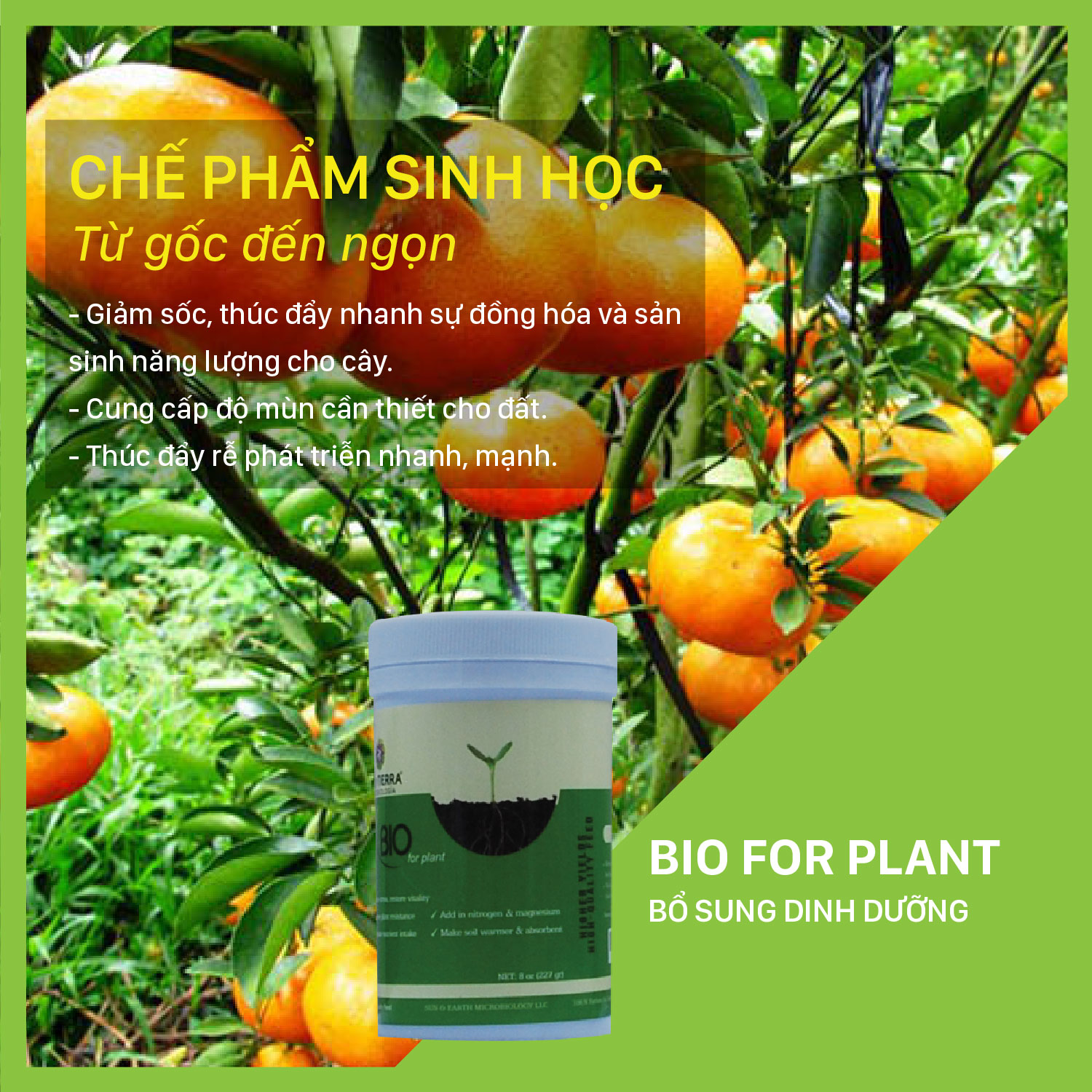 Chế phẩm cung cấp Ma-giê cho cây trồng Bio For Plant - NSX Sun &amp; Earth Microbiology hủ 227 gram