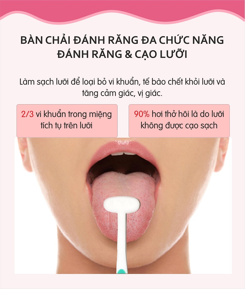 Combo 12 bàn chải đánh răng more-T trẻ em