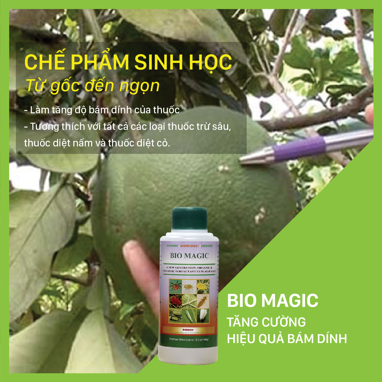 BIO MAGIC - Chai 350 ml - Tăng cường hiệu quả bám dính