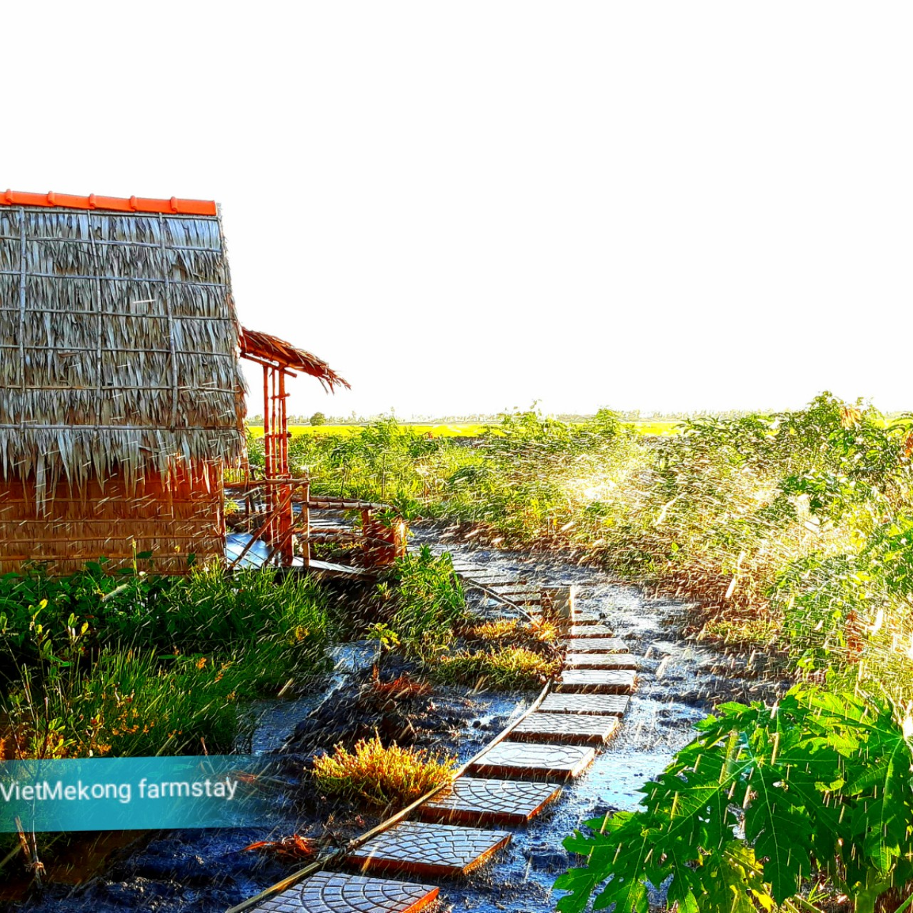 CHƯƠNG TRÌNH  NGHỈ DƯỠNG VÀ TRẢI NGHIỆM TẠI VIETMEKONG FARMSTAY  KÝ ỨC MIỀN QUÊ ĐỒNG THÁP MƯỜI