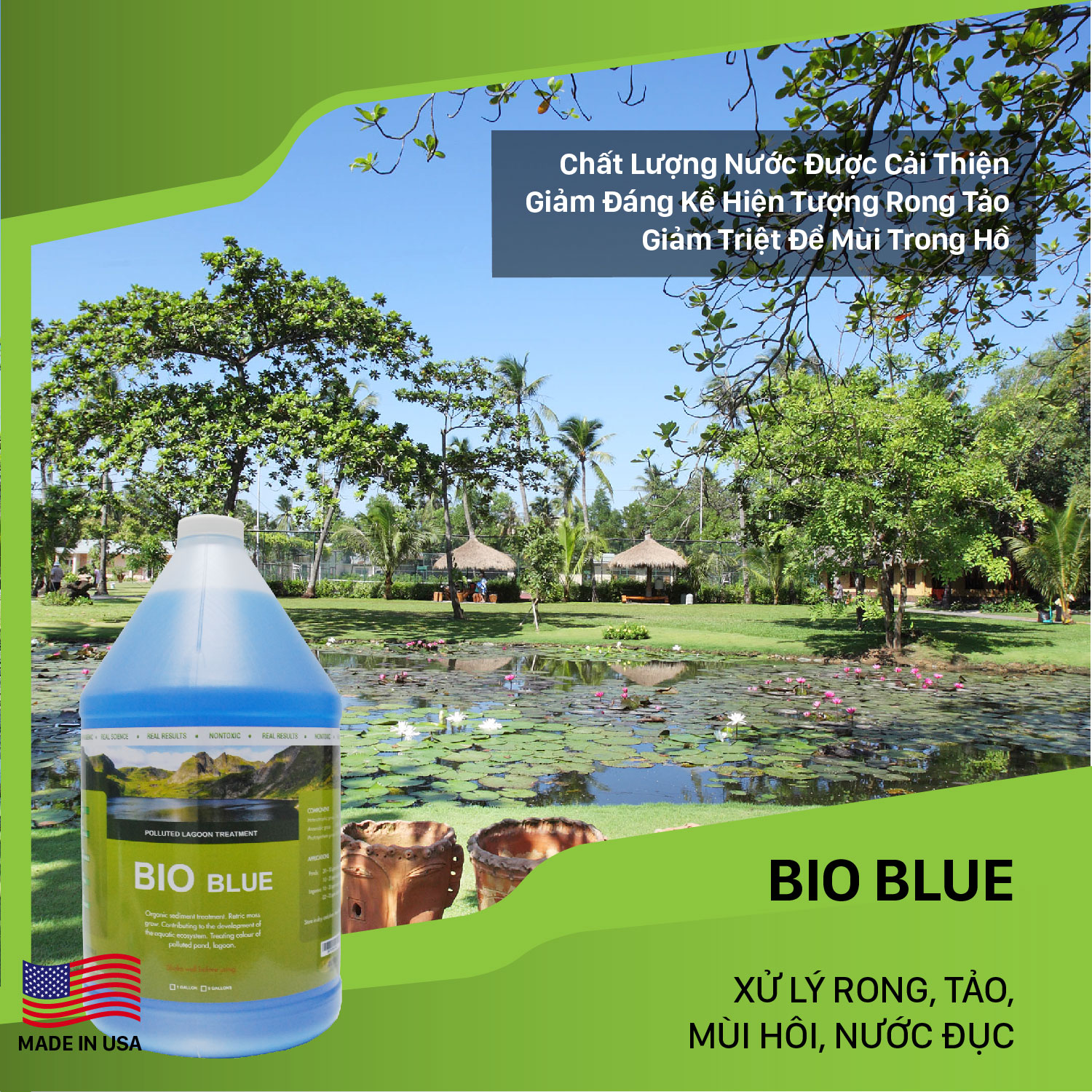 Bio Blue Vi sinh xử lý ao hồ bị ô nhiễm