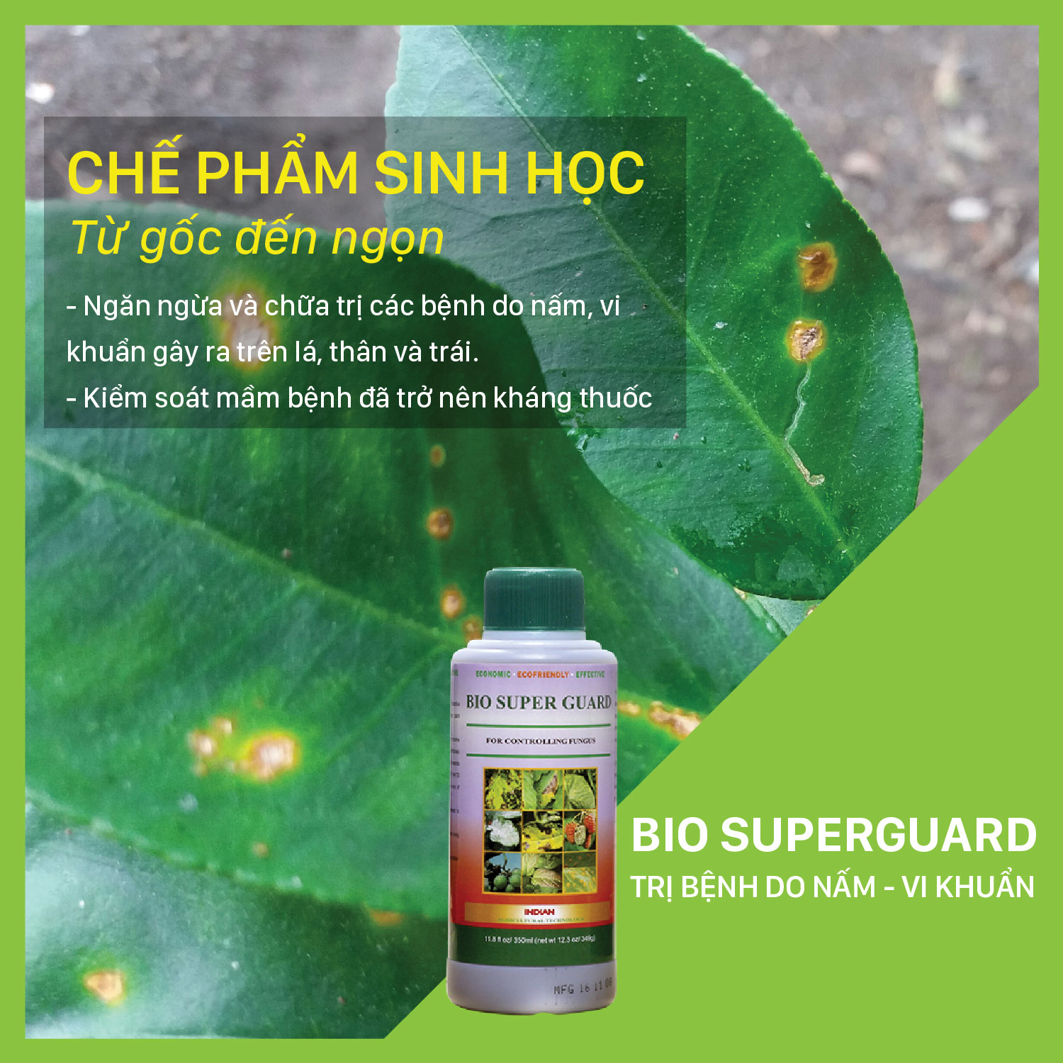 BIO SUPER GUARD - Chai 350ml Phòng trừ bệnh nấm, thán thư, phấn trắng, sương mai