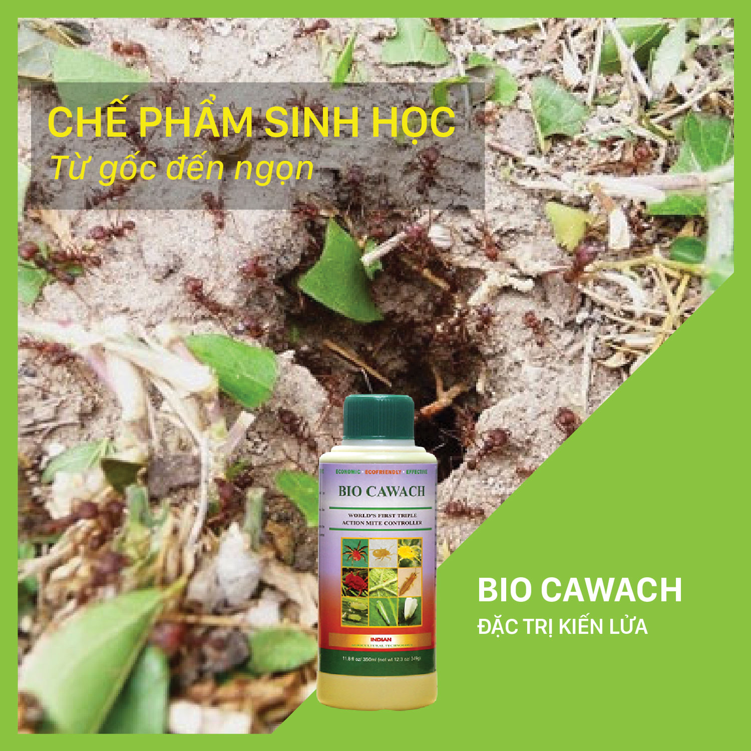 Bio Cawach - Chai 350 ml đặc trị kiến lửa tấn công cây trồng