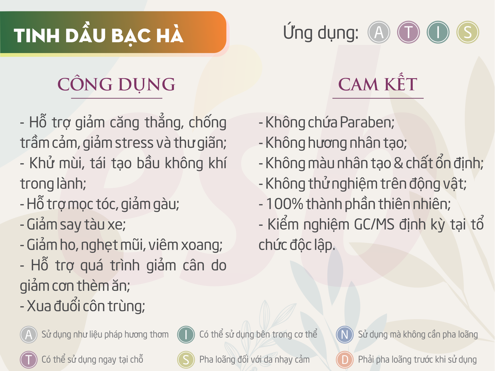 Tinh dầu thiên nhiên Bạc Hà Nhật Bản – Essenbee – 20ml - Hỗ trợ thư giãn tinh thần, giảm stress và đau đầu, chống say tàu xe, giúp giảm ho, nghẹt mũi, viêm xoang