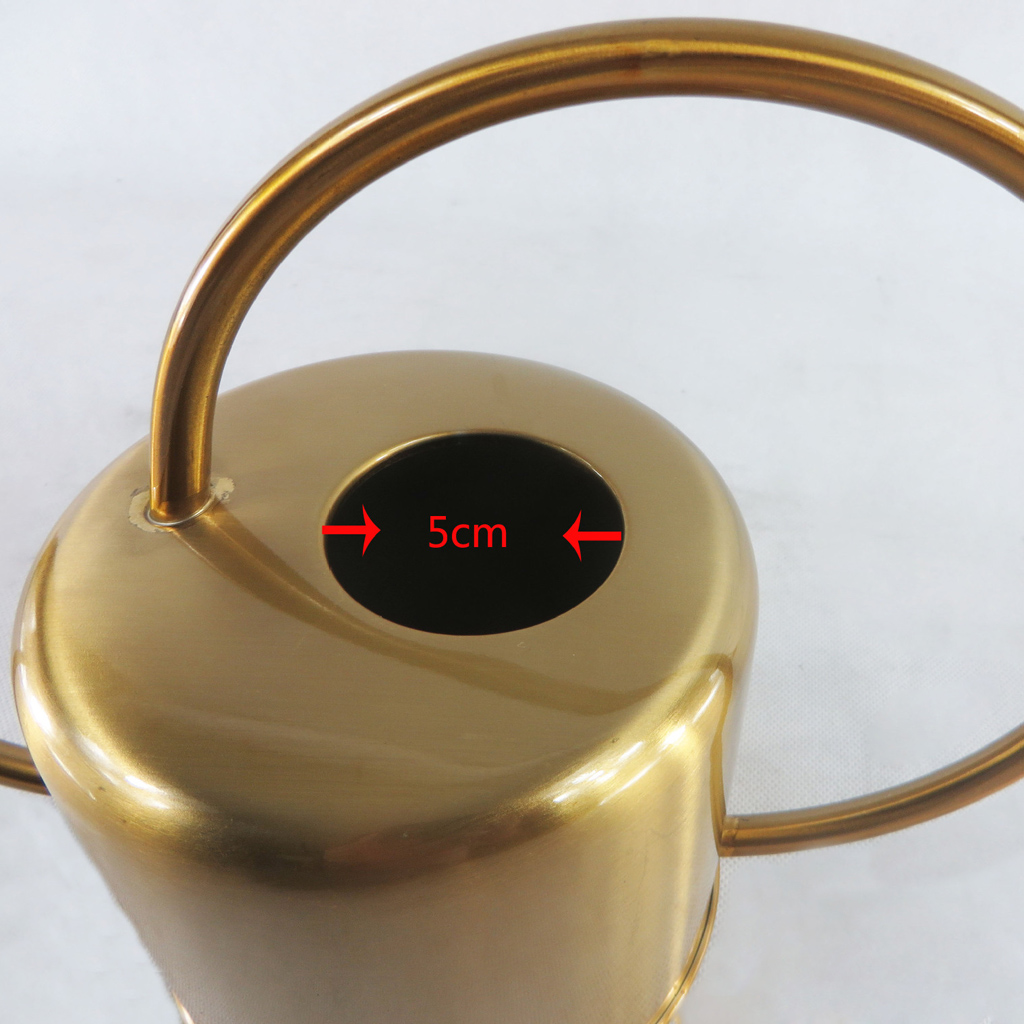 1.3L Bình Thép Không Gỉ Tưới Cây Nồi Hiện Đại Phong Cách Hoa Vật Có Tưới Cây