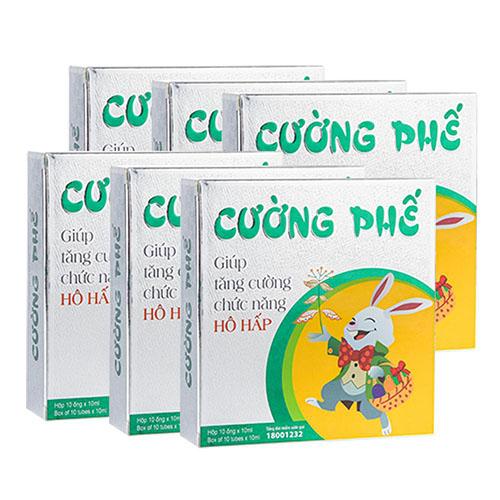 Hai hộp siro ho thảo dược Cường phế dành cho bé