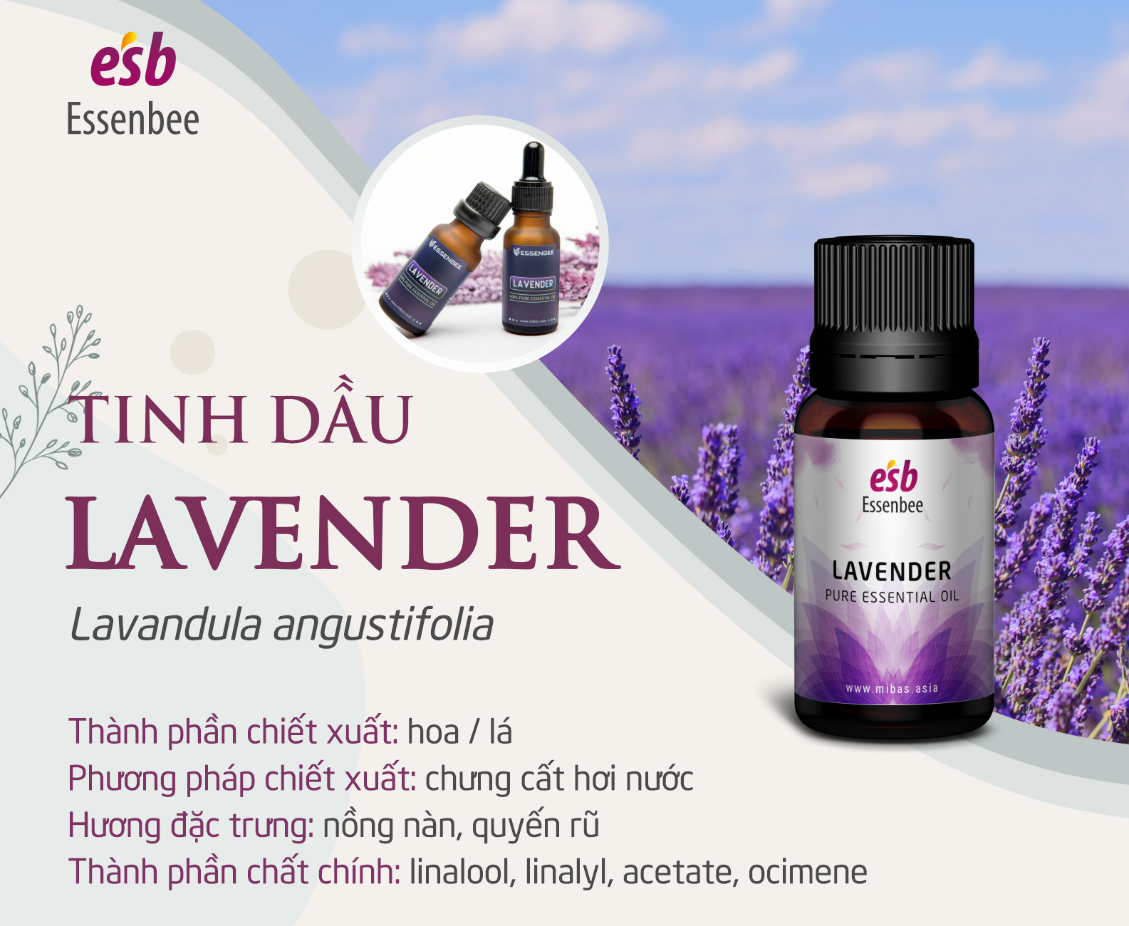 Tinh dầu thiên nhiên Hoa Lavender - Essenbee - 20ml - Hỗ trợ thư giãn tinh thần, giảm stress, chống trầm cảm. Kháng khuẩn, khử mùi, tái tạo không khí trong lành. Xua muỗi hiệu quả và an toàn cho trẻ em.