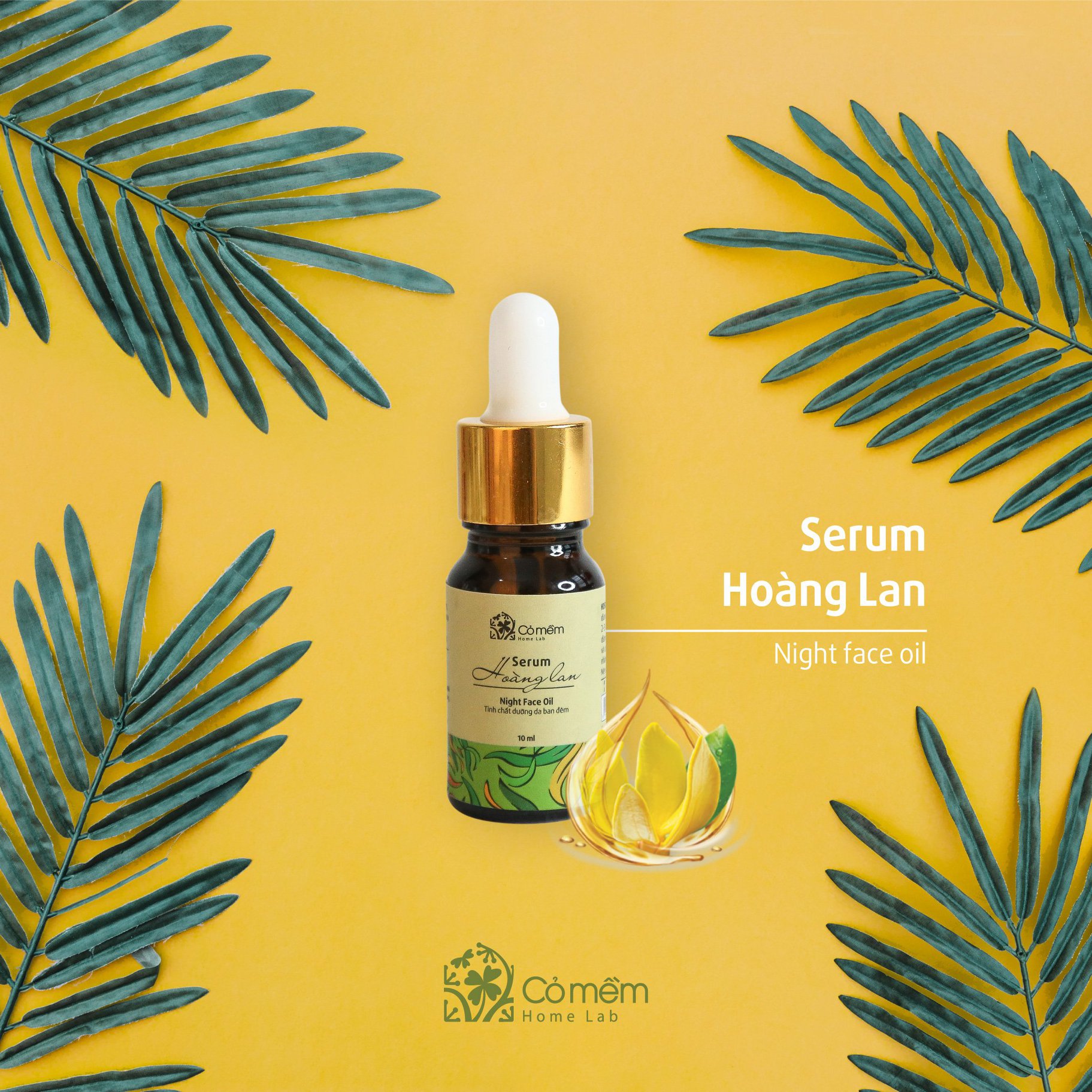 Serum Dưỡng Da Đêm Hoàng Lan Cỏ Mềm Giúp Mềm Mịn Ngăn Ngừa Nám Da Chống Lão Hóa Nhanh Liền Sẹo Mụn Với Chiết Xuất Từ Tinh Dầu Hoàng Lan An Toàn Từ Thiên Nhiên 10ml