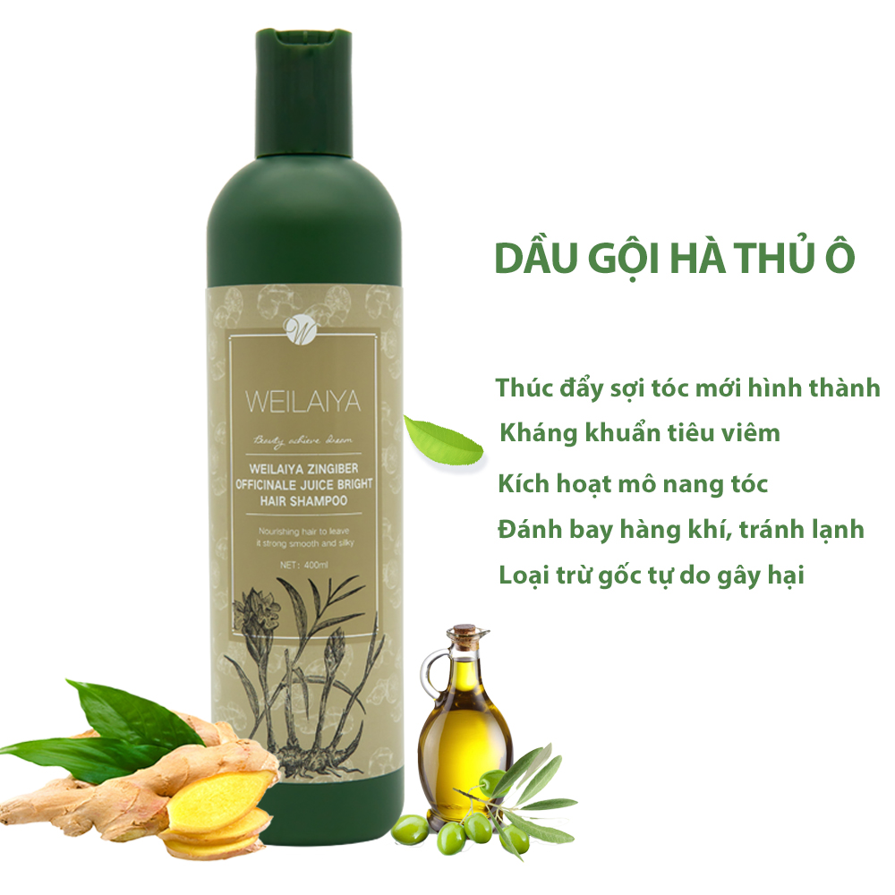 Dầu gội mọc tóc hỗ trợ trị rụng tóc dành cho tóc rụng, tóc khô xơ và hư tổn Weilaiya chiết xuất từ tinh chất gừng tươi Hà Thủ Ô 100% thiên nhiên không chất sunfat tạo bọt - Hàng chính hãng