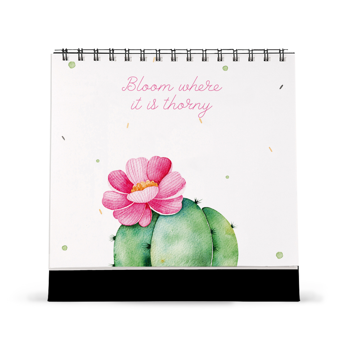 Lịch bàn SDstationery 2020 HAVE A SUCCULENT YEAR (xương rồng)