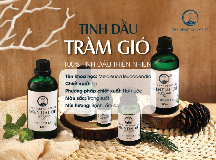 Tinh dầu cao cấp Tràm Gió PK 30ml