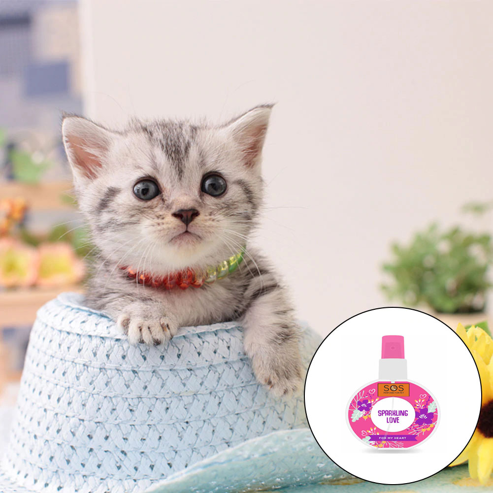 NƯỚC HOA CHO CHÓ MÈO SOS 75ML