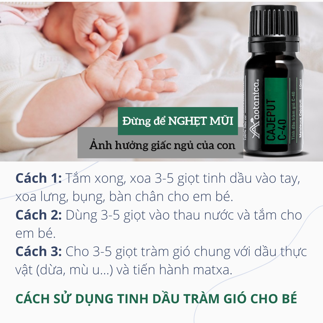 Combo 5 tinh dầu phân đoạn Aotanica, giải cảm, tràm gió, tràm trà, sả chanh, bưởi 1ml