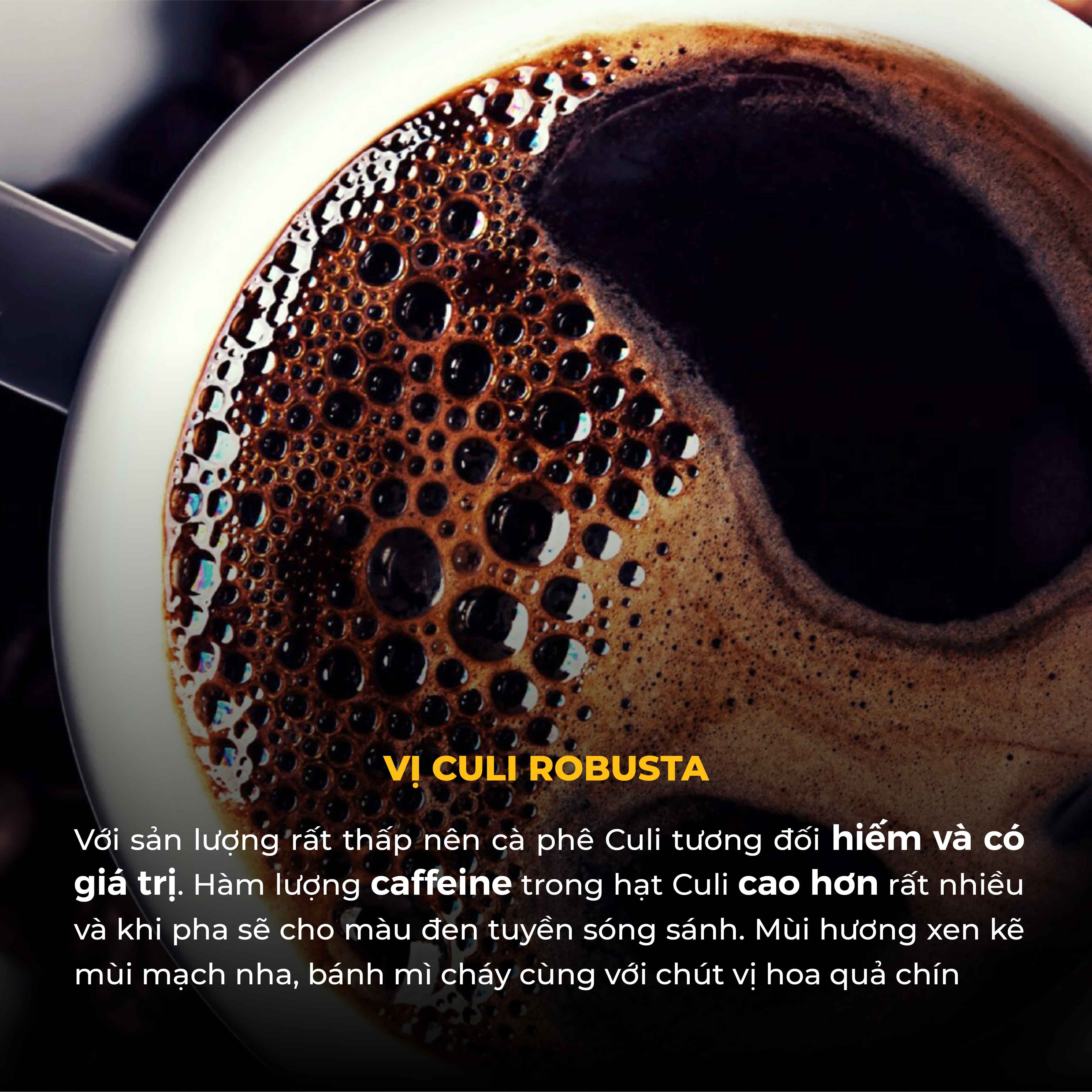 Combo Cà Phê Bột ARABICA Thượng Hạng & Culi Robusta